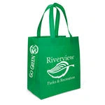 Wholesale Economy Non-Woven Shopping Bag (SPET1315)