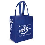 Wholesale Economy Non-Woven Shopping Bag (SPET1315)