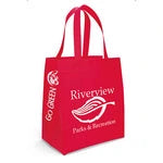 Wholesale Economy Non-Woven Shopping Bag (SPET1315)