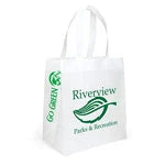 Wholesale Economy Non-Woven Shopping Bag (SPET1315)