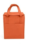 Wholesale Therm-O Super Non-Woven Insulated Bag