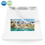 Wholesale Everest Premium Matte Laminated Paper Shopping Bags (DYMT107)