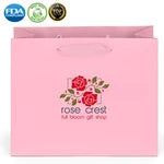 Wholesale Paris Matte Laminated Paper Gift Bags (34ML108)