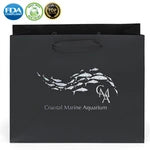 Wholesale Paris Matte Laminated Paper Gift Bags (34ML108)
