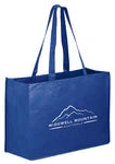 Wholesale Non-Woven Heavy-Duty Grocery Shopping Bag Y2K16612