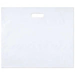 Custom Full-Color Digital Printed Plastic Bags (15" x 18")