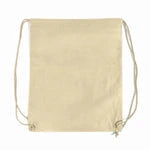 Wholesale Large Non-Woven Drawstring Backpack (GK490)