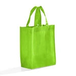 Custom Non-Woven Party Favor Gift Bags GN18