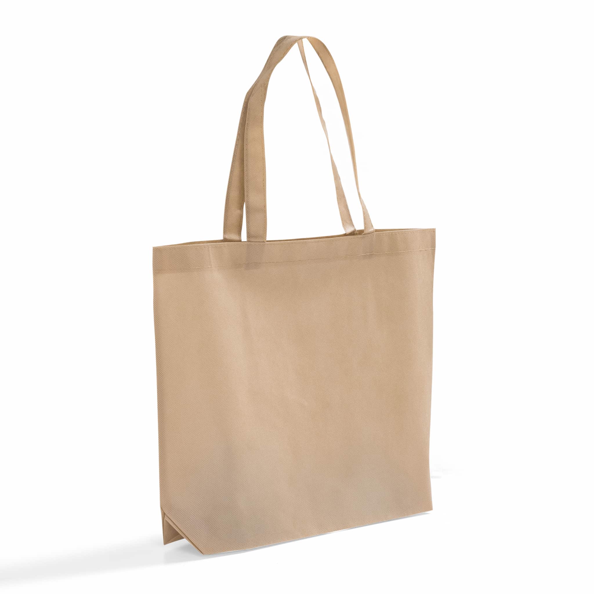 Convention Nonwoven Carrying Bag GN25