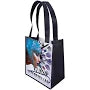 Wholesale Renoir Non-Woven Grocery Bag