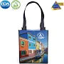 Wholesale Renoir Non-Woven Grocery Bag