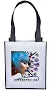Wholesale Renoir Non-Woven Grocery Bag