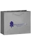 Wholesale Matte Laminated Euro Shopping Bags (13" x 10" x 5")