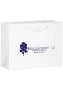 Wholesale Matte Laminated Euro Shopping Bags (13" x 10" x 5")