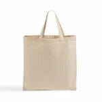 Multi-Purpose Canvas Everyday Carrying Bag (TBS15)